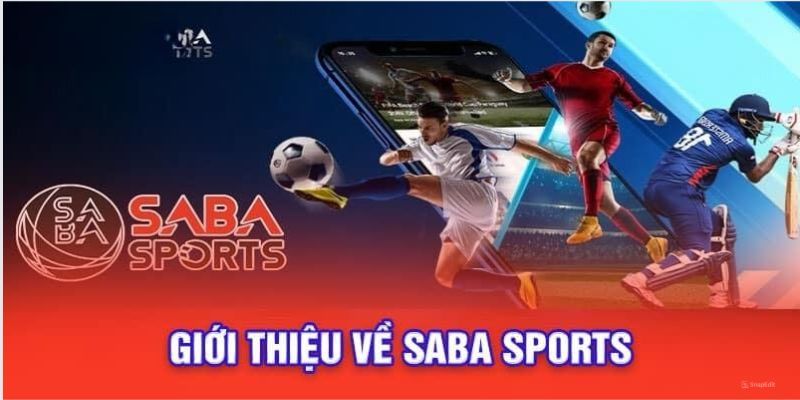 Vài nét về sảnh SABA