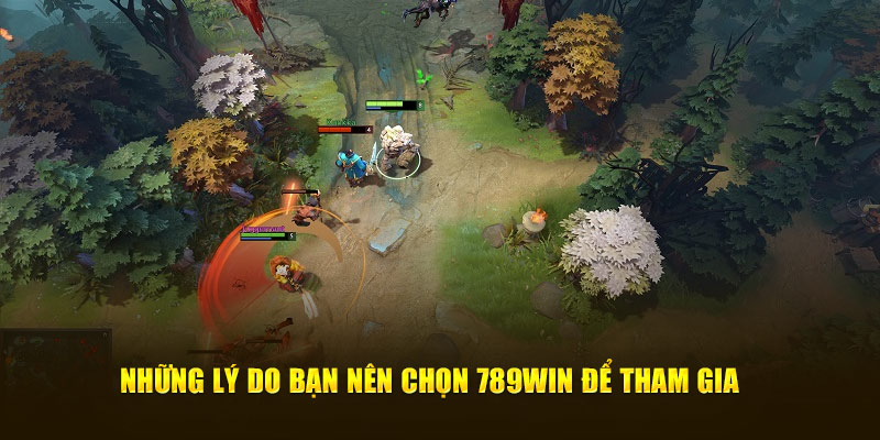 Những lý do bạn nên chọn 789WIN để tham gia