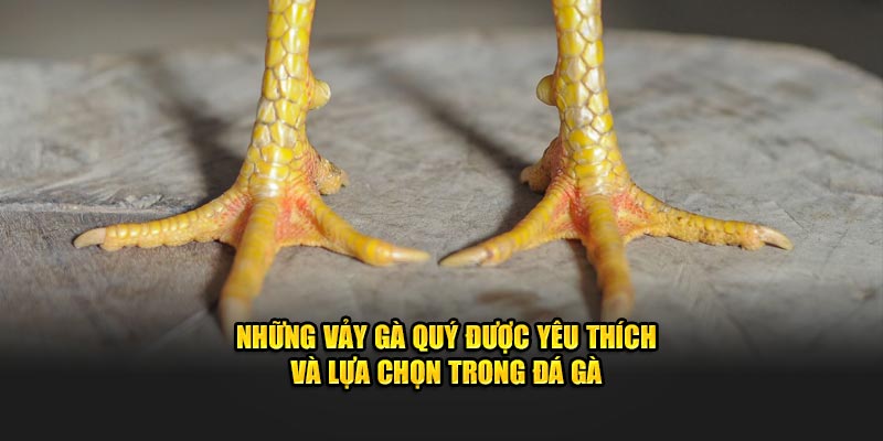 Những Vảy Gà Quý Được Yêu Thích Và Lựa Chọn Trong Đá Gà