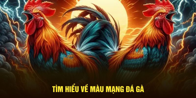 Tìm hiểu về màu mạng đá gà 